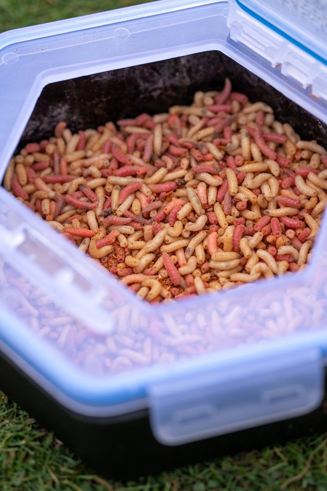 Zebco Krabička Na Živé Nástrahy Secure-Lock Bait Box 2 l (7)
